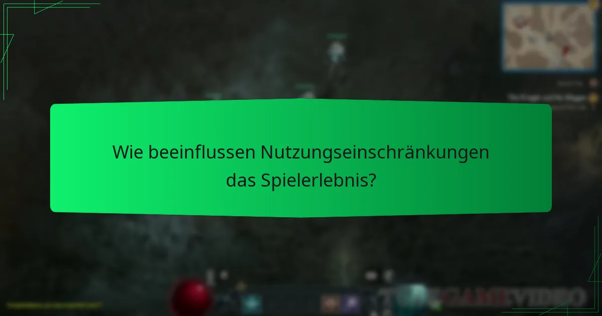Wie beeinflussen Nutzungseinschränkungen das Spielerlebnis?